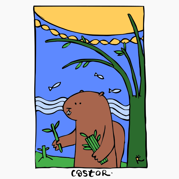 Un castor en train de planter des boutures de saule, à côté d’une rivière, sous un soleil infini